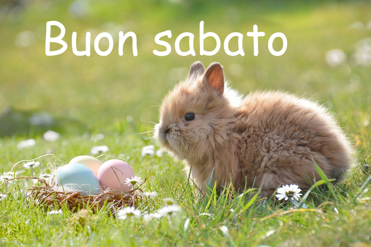  immagini con coniglietti e ovini di Pasqua
